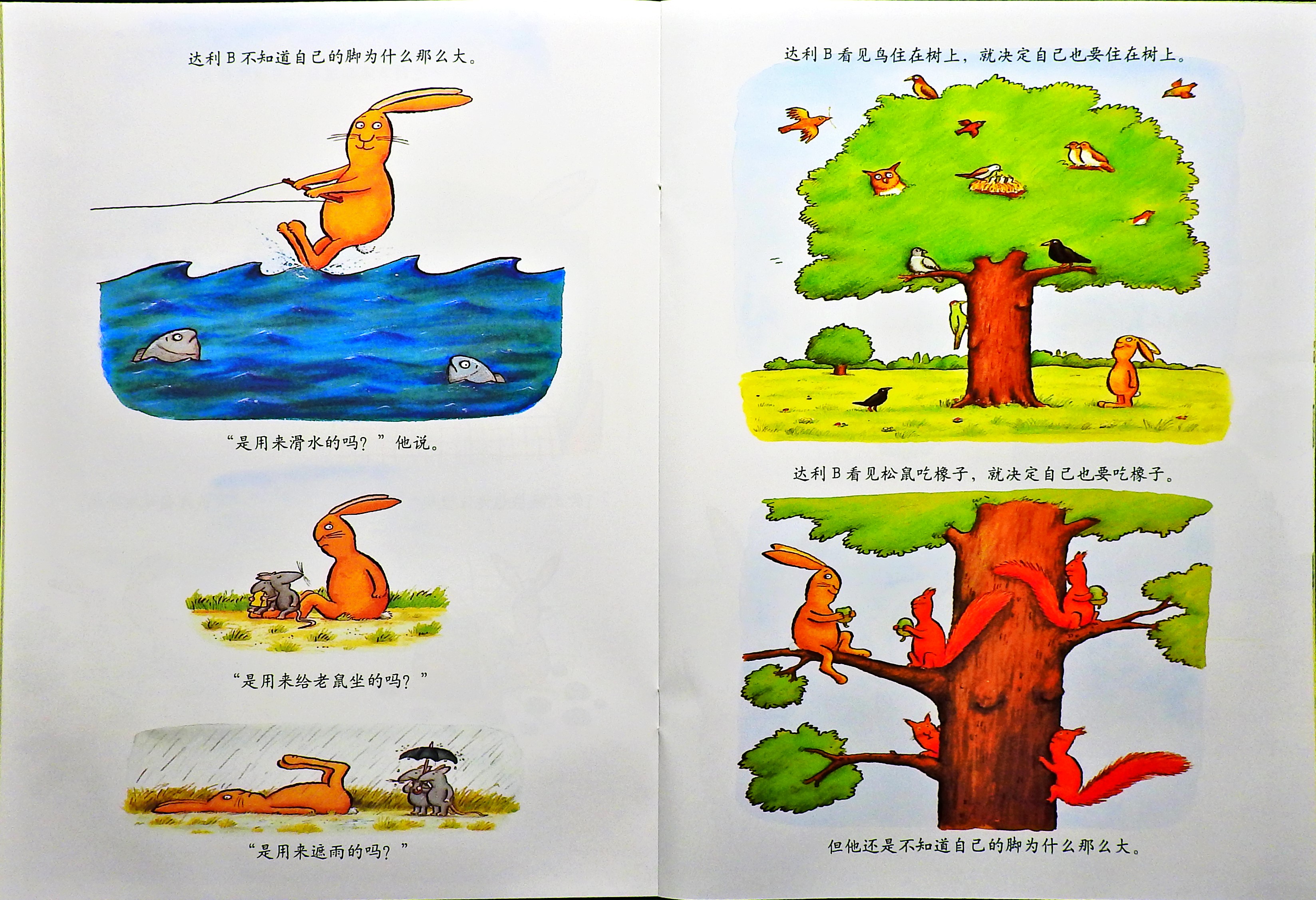 我不知道我是谁 (06),绘本,绘本故事,绘本阅读,故事书,童书,图画书,课外阅读